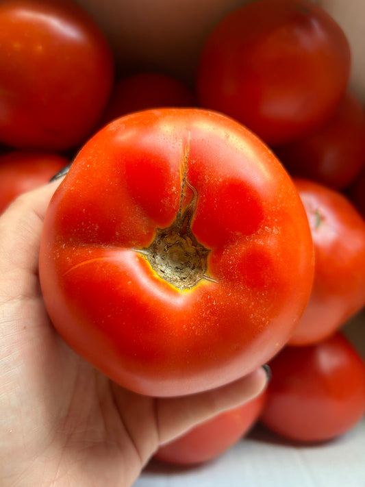 Tomatoes